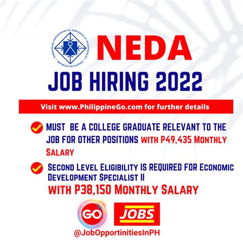 neda job vacancies|First and Second Level Positions .